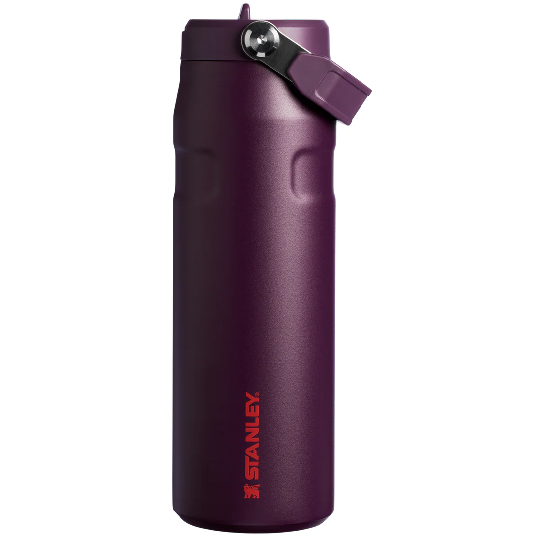 STANLEY  Ice Bottle with Flip Straw Lid - 16oz