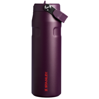 STANLEY  Ice Bottle with Flip Straw Lid - 16oz