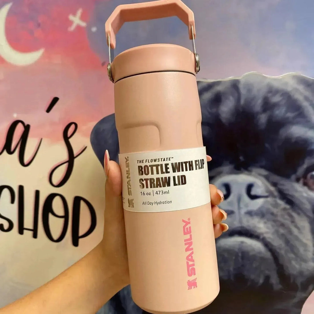STANLEY  Ice Bottle with Flip Straw Lid - 16oz