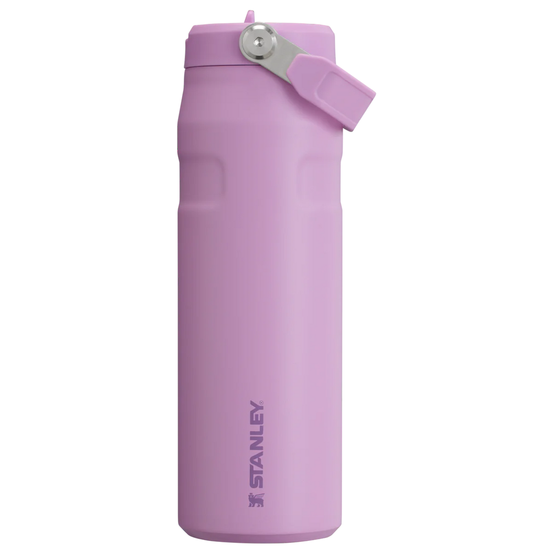 STANLEY  Ice Bottle with Flip Straw Lid - 16oz