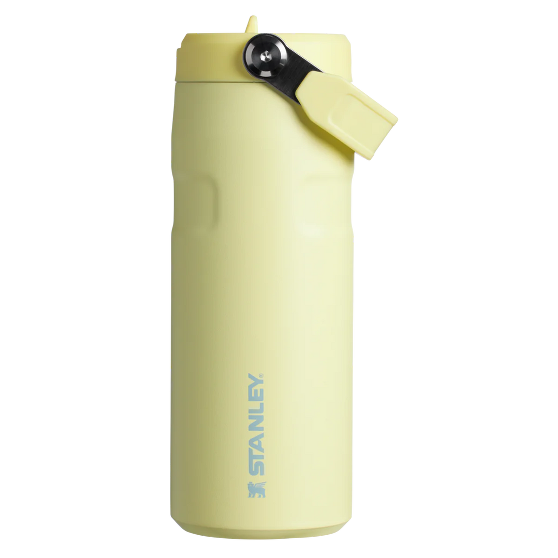 STANLEY  Ice Bottle with Flip Straw Lid - 16oz