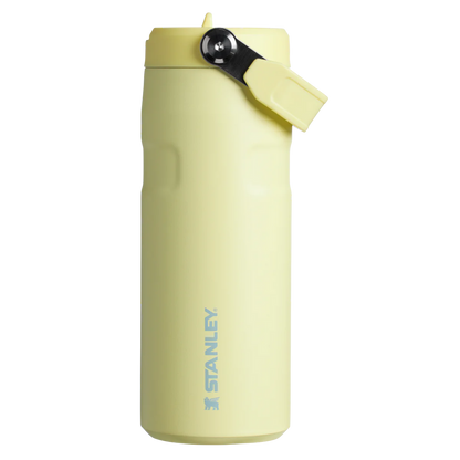 STANLEY  Ice Bottle with Flip Straw Lid - 16oz