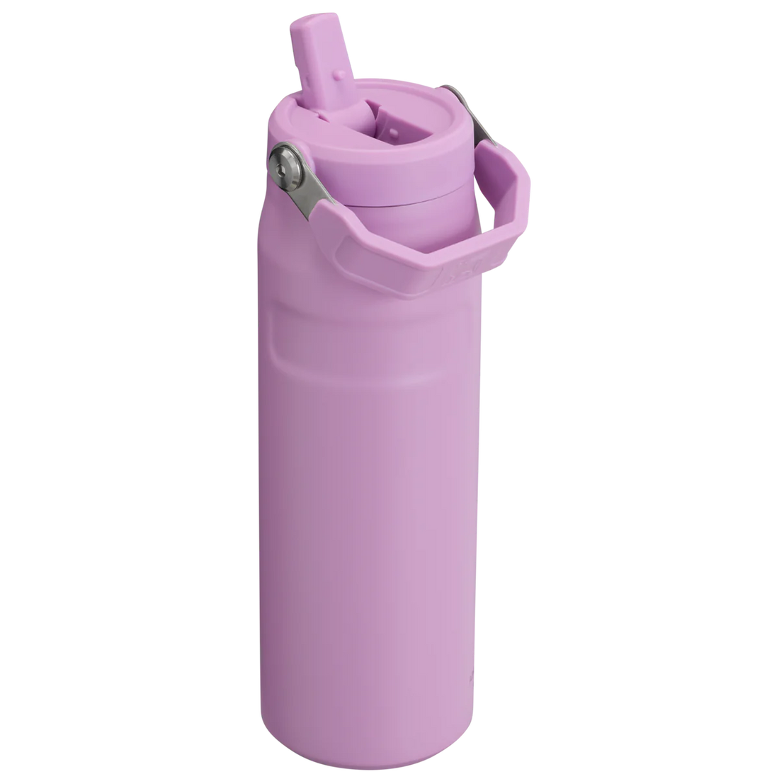 STANLEY  Ice Bottle with Flip Straw Lid - 16oz