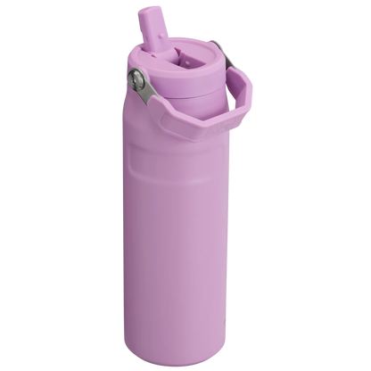 STANLEY  Ice Bottle with Flip Straw Lid - 16oz
