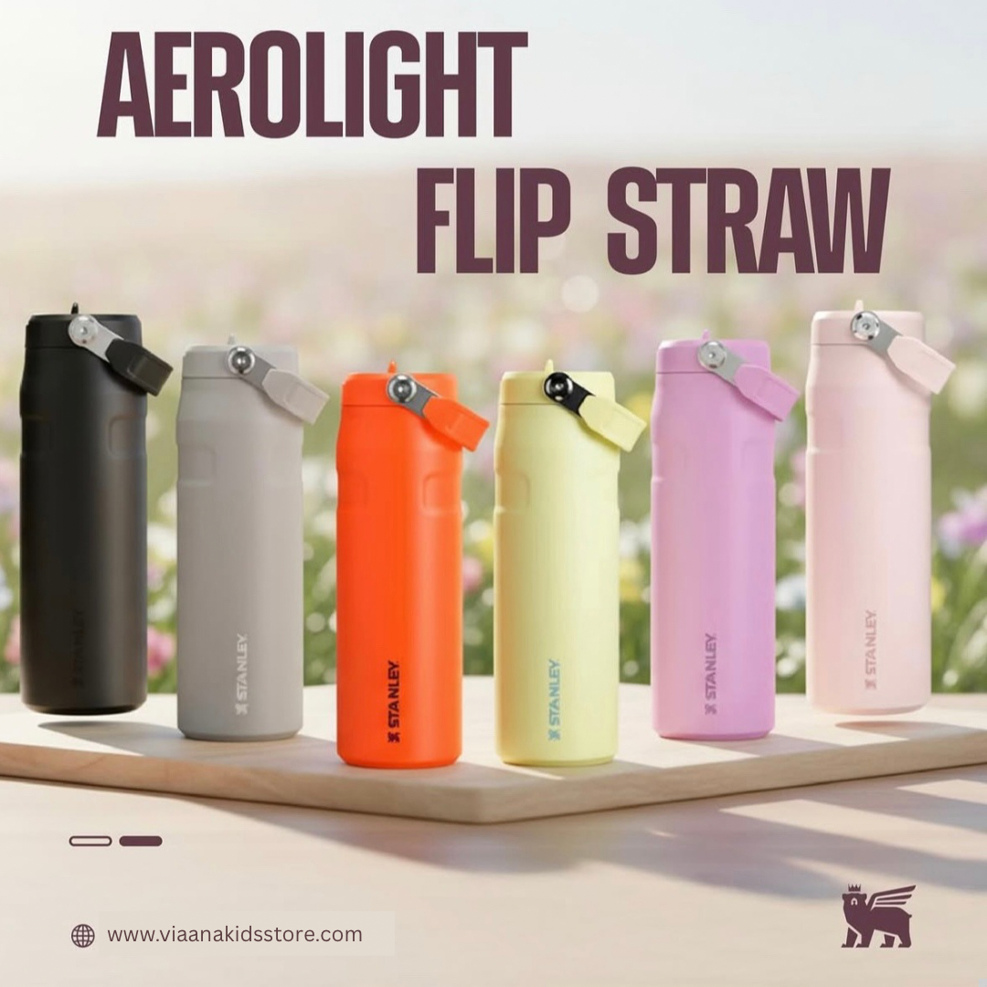 STANLEY  Ice Bottle with Flip Straw Lid - 16oz