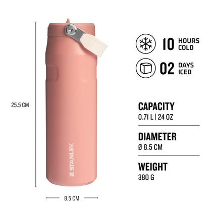 STANLEY  Ice Bottle with Flip Straw Lid - 16oz