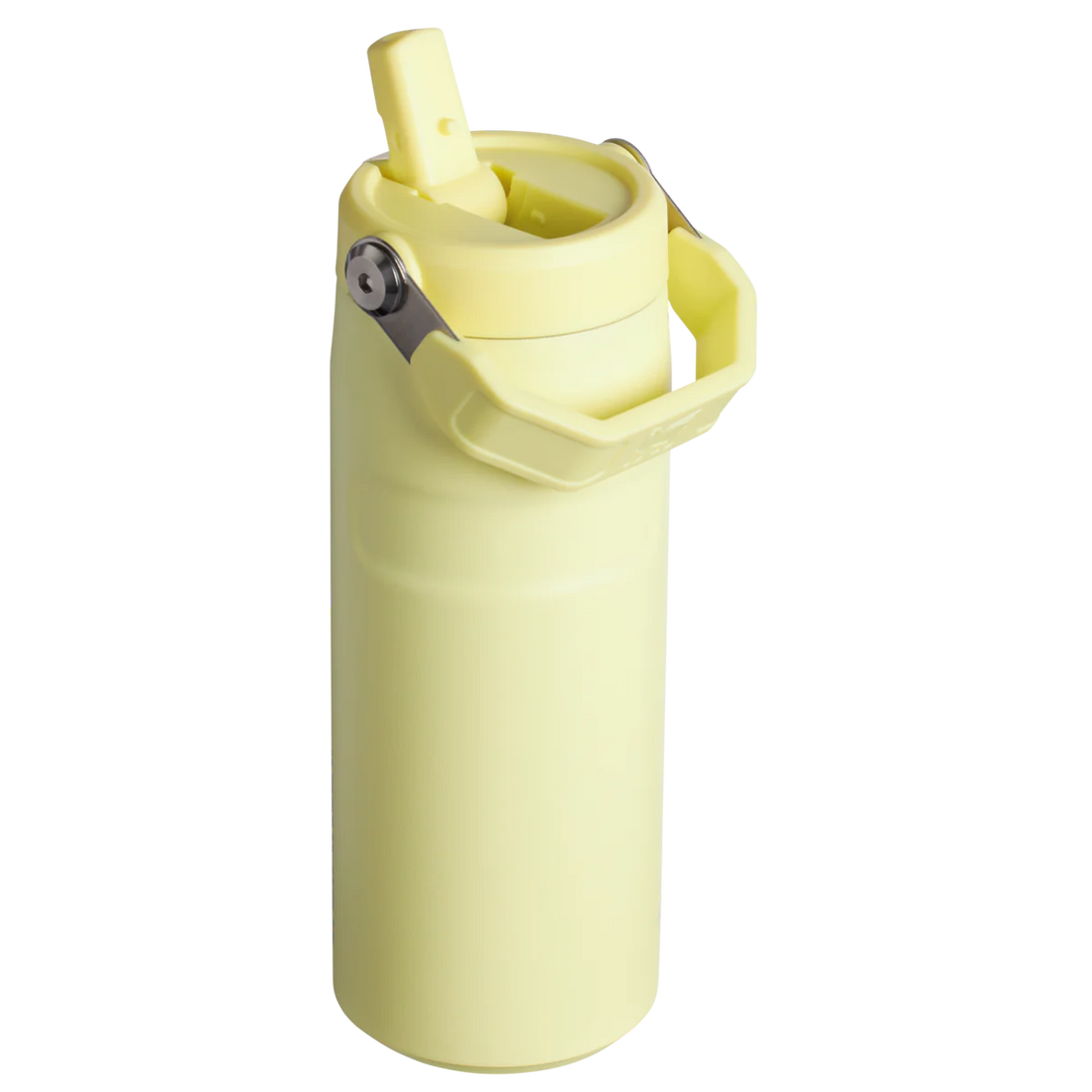 STANLEY  Ice Bottle with Flip Straw Lid - 16oz