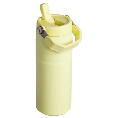 STANLEY  Ice Bottle with Flip Straw Lid - 16oz