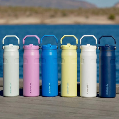STANLEY  Ice Bottle with Flip Straw Lid - 16oz