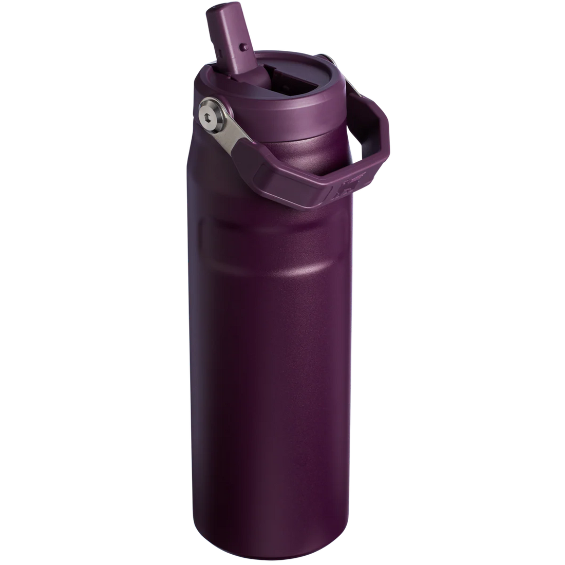 STANLEY  Ice Bottle with Flip Straw Lid - 16oz
