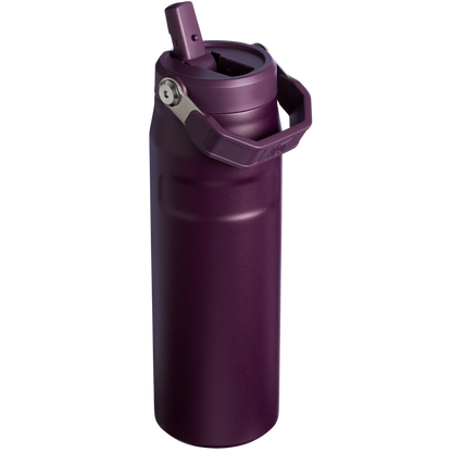 STANLEY  Ice Bottle with Flip Straw Lid - 16oz