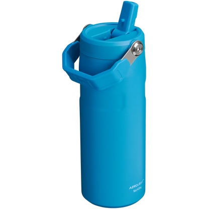 STANLEY  Ice Bottle with Flip Straw Lid - 16oz