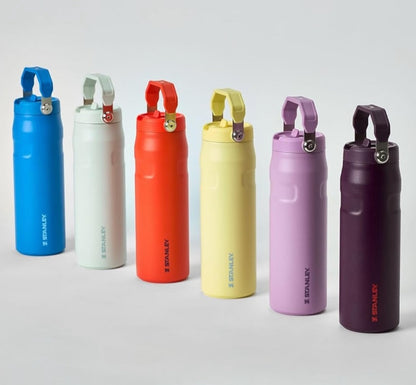 STANLEY  Ice Bottle with Flip Straw Lid - 16oz