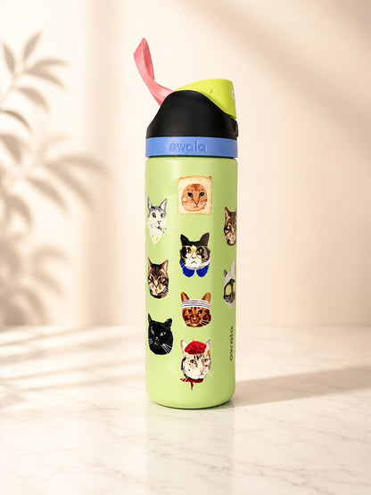 Owala FreeSip 700ML / 24oz Aesthetic Collection Water Bottle – Triple Layer Insulated SS 316 Steel Flask