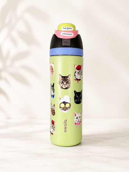 Owala FreeSip 700ML / 24oz Aesthetic Collection Water Bottle – Triple Layer Insulated SS 316 Steel Flask